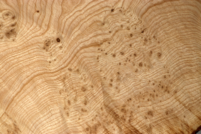 Tabletop Ash Burl 1900x680x68mm - TTTP0037