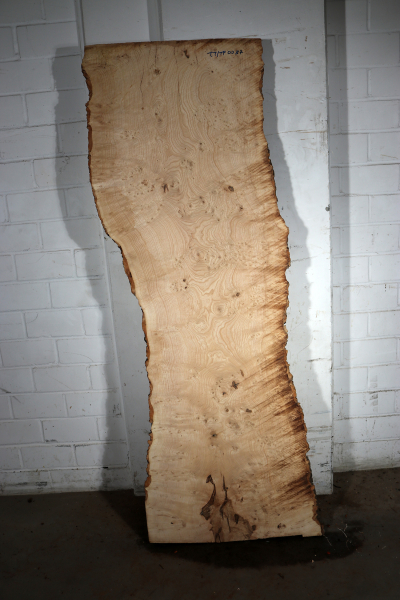 Tabletop Ash Burl 1900x680x68mm - TTTP0037