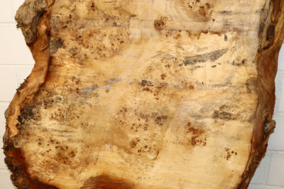Tabletop Poplar Burl 1580x950x65mm -  TTX105M