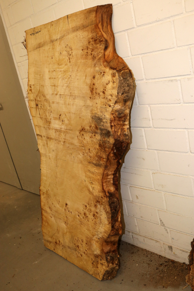 Tabletop Poplar Burl 1580x950x65mm -  TTX105M