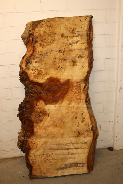 Tabletop Poplar Burl 1570x930x65mm -  TTX106M