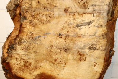 Tabletop Poplar Burl 1570x930x65mm -  TTX106M