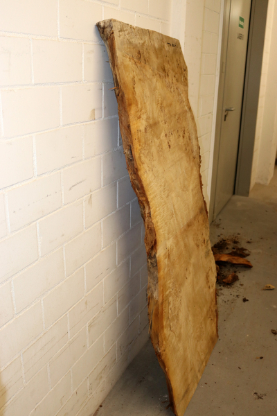 Tabletop Poplar Burl 1570x930x65mm -  TTX106M