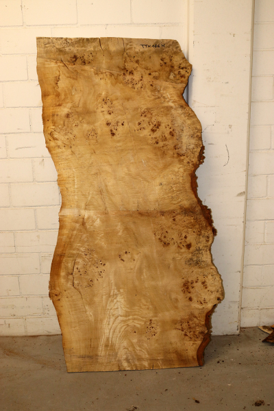 Tabletop Poplar Burl 1570x930x65mm -  TTX106M