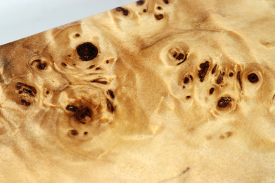 Vapemod/Boxmod Poplar Burl stabilized - Stabi2650