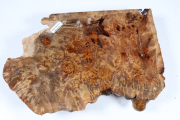 Abschnitt Golden Madrone 270x190...