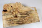 Horse Chestnut Burl 285x190x75mm...