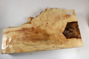 Horse Chestnut Burl 350x210x70mm...
