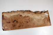 Elm Burl 410x180x50mm - RuesM0660