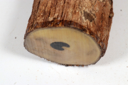 African Blackwood 200x90mm - Gre...