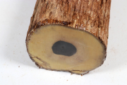 Astabschnitt Grenadill 230x85mm ...