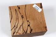 Block Buche gestockt stabilisier...