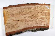 Board Karelian Masurbirch  300x1...