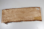 Board Karelian Masurbirch  360x1...