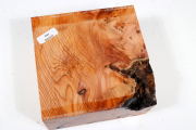 Block Yew Burl 125x125x70mm - Ei...
