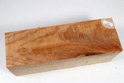 Klotz Muschelahorn 260x95x90mm -...
