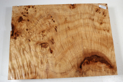 Block Poplar Burl 330x240x60mm -...