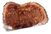 Chechen Burl 340x260x30mm - Chec...