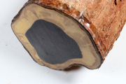 African Blackwood 240x150 mm - G...