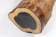 Stammabschnitt Grenadill 465x130...