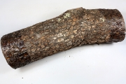 
	Abmessungen: ca. 420 x 130 mm...
