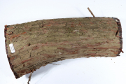 Stammabschnitt Wacholder 330x130...