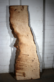 Tischplatte - Tabletop Esche Mas...