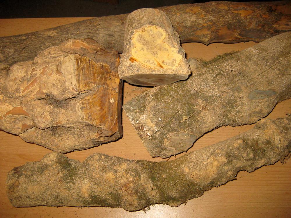 141.jpg