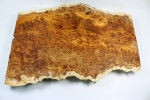 Yew Burl - museum grade