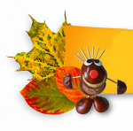 Herbstzeit = Werkstattzeit 10% auf ALLES!