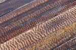 Snakewood in premium quality is arrived!