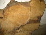 Schnurbaum Maserplatten eingetroffen