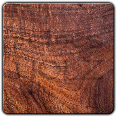 Australian Blackwood