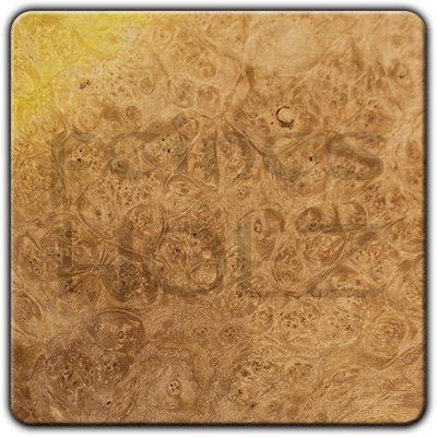 Box Elder Maple Burl