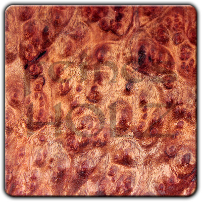 Camphor Burl