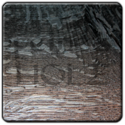 Bog Oak