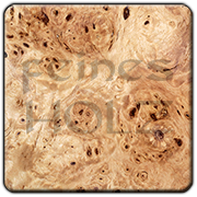 Poplar Burl