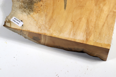 Maple Burl 205x135x65mm - AhoM0364