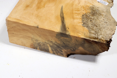 Maple Burl 205x135x65mm - AhoM0364