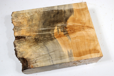 Maple Burl 220x165x65mm - AhoM0392