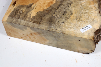 Maple Burl 220x165x65mm - AhoM0392