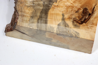 Maple Burl 220x165x65mm - AhoM0392