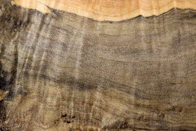 Maple Burl 220x195x65mm - AhoM0360