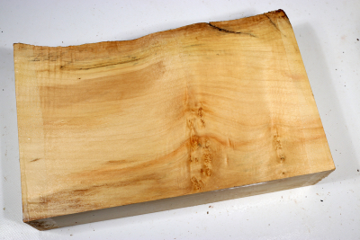 Maple Burl 290x180x65mm - AhoM0396