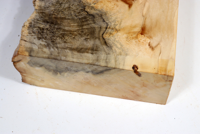 Maple Burl 290x180x65mm - AhoM0396
