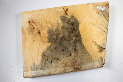 Maple Burl 340x240x65mm - AhoM0395