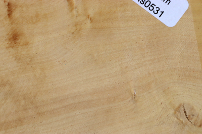 Boxwood 150x75x70mm - Buchs0531