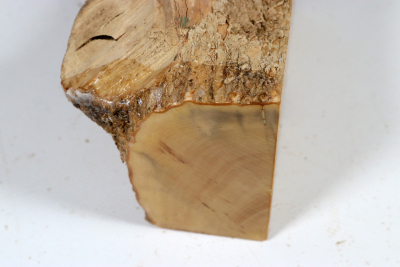 Boxwood 150x75x70mm - Buchs0531