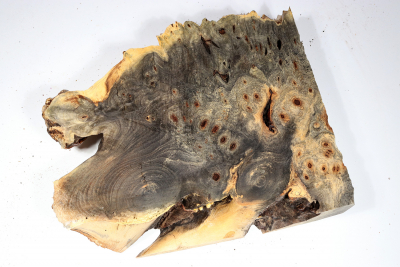 Buckeye Tree Burl 320x250x63mm - Buck0143