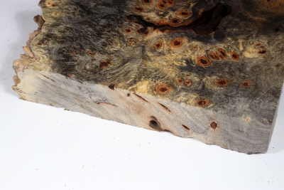 Buckeye Tree Burl 320x250x63mm - Buck0143